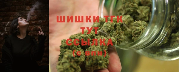 гашиш Богданович