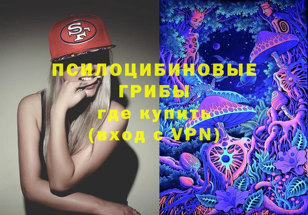 гашиш Богданович