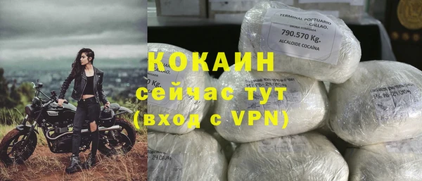 гашиш Богданович